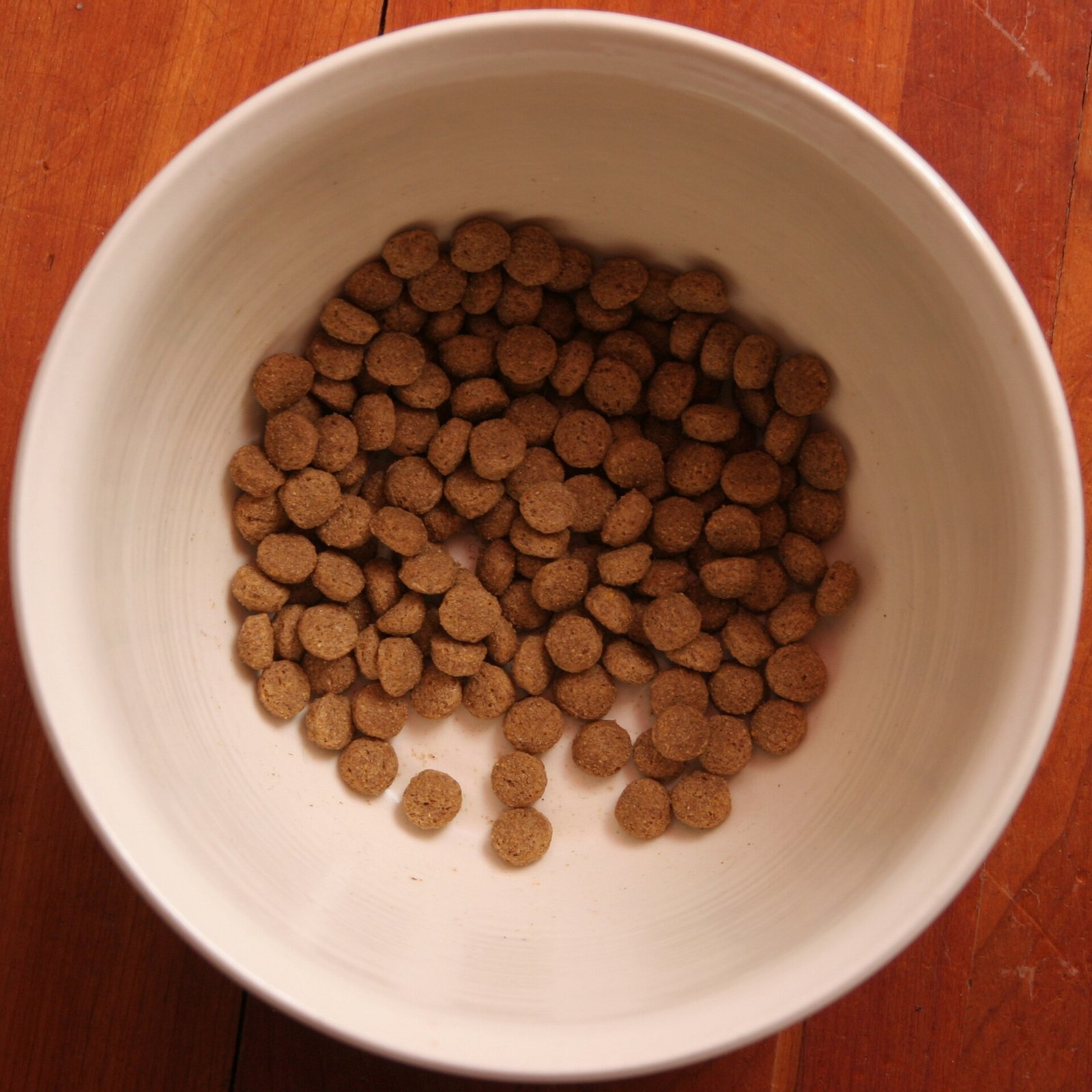 Taurine supplement powder beside a dog bowl